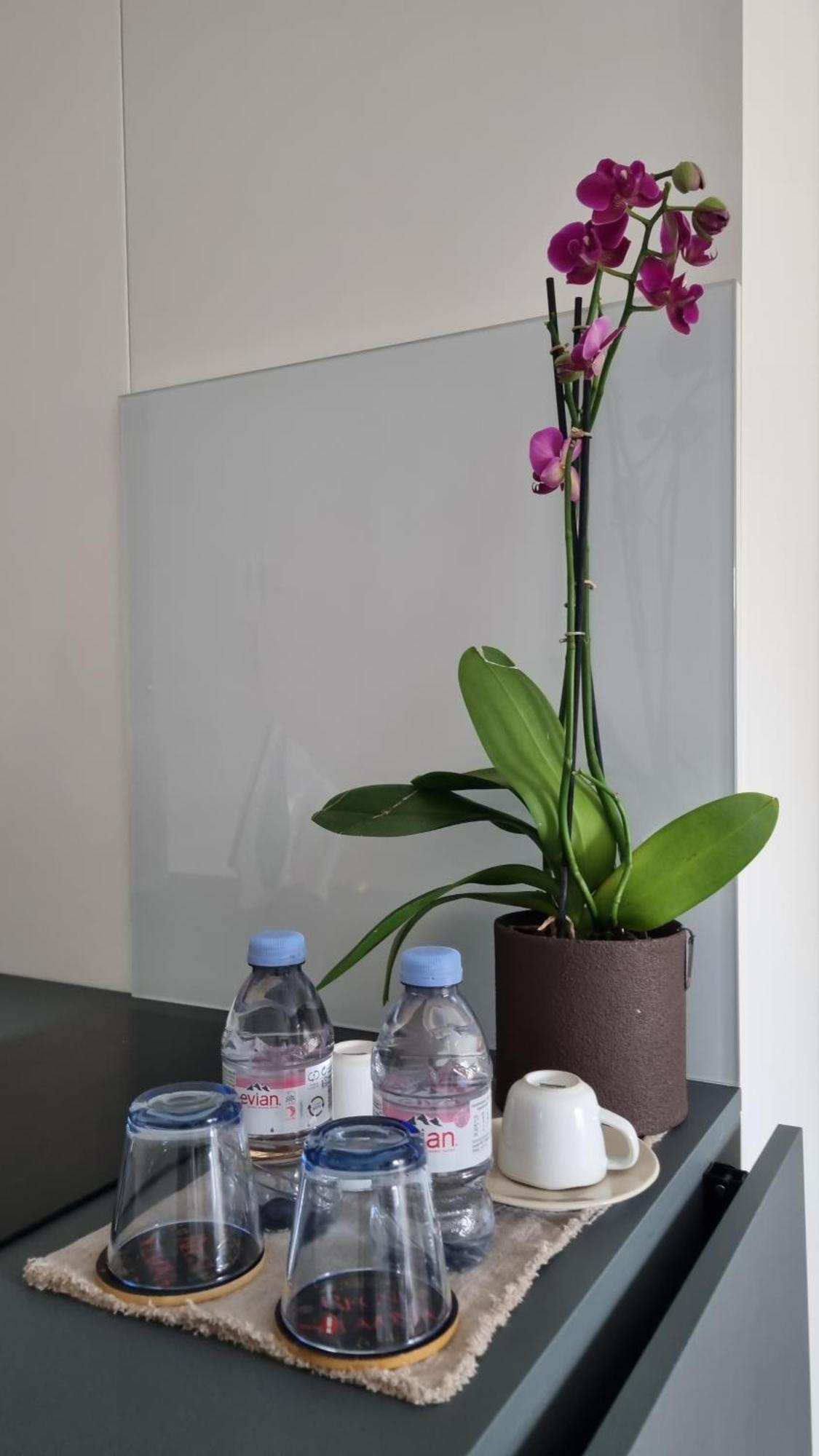 Apartament Outsidein Lightstudio Zagrzeb